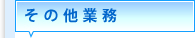 ���z�����d �ϐk�⋭ �����s